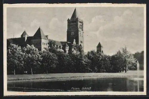 AK Posen / Poznan, Blick zum Schloss