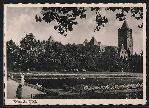 AK Posen, Schwanenteich am Schloss