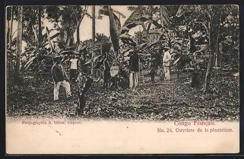 AK Congo, Ouvriers de la plantation