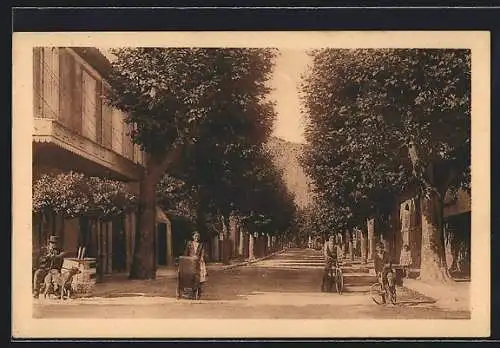 AK Anduze, Boulevard de la République