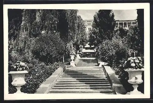 AK Sotschi, Sanatorium Textilschik mit Treppenaufgang und üppiger Vegetation