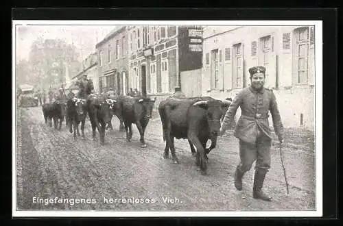 AK Soldat in Uniform mit eingefangenem herrenlosen Vieh