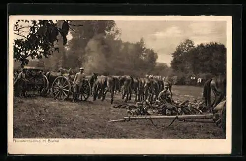 AK Feld-Artillerie im Biwak, Pferde