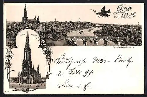 Lithographie Ulm / Donau, Ulmer Münster, Panorama mit Vogel