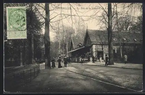 AK Bruxelles, Le Bois de la Cambre et la Lallerie