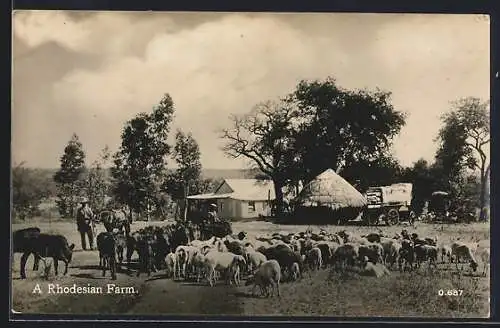 AK Simbabwe, Rhodesian Farm