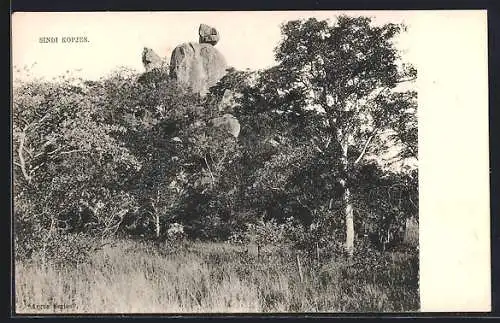 AK Sindi Kopjes, Panorama