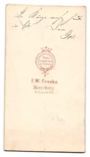 Fotografie F.W. Franke, Merseburg, Rossmarkt 505, Porträt eines bärtigen Mannes