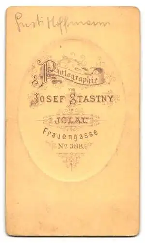 Fotografie Josef Stastny, Iglau, Frauengasse 388, Porträt einer jungen Frau mit Kette und Ohrringen