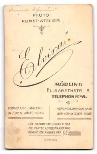 Fotografie Atelier Elvira, Mödling, Elisabethstr. 5, Porträt einer jungen Frau mit kunstvoller Frisur