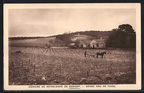 AK Tavel /Gard, Domaine de Notre-Dame de Manissy, Grand Cru