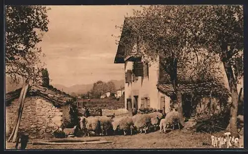 AK Saint-Jean-Pied de-Port, Ferme Basque