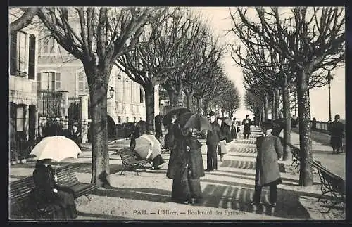 AK Pau, L`Hiver, Boulevard des Pyrénées