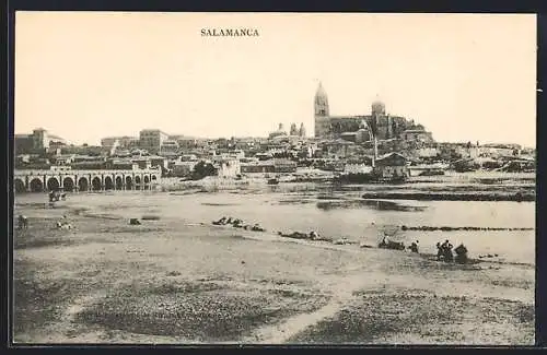 AK Salamanca, Vista general