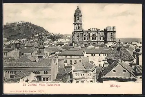 AK Malaga, La Catedral, vista panorámica