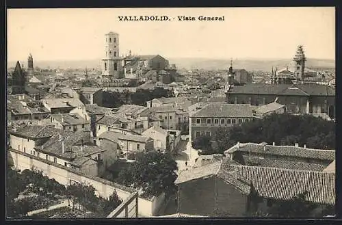 AK Valladolid, Vista General