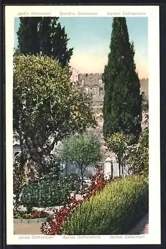 AK Jerusalem, Garten Gethsemane