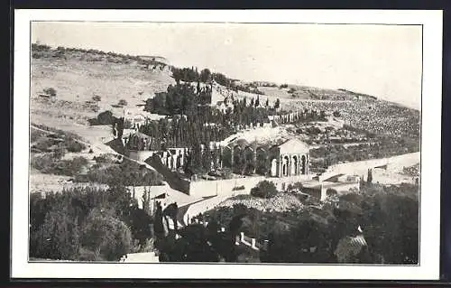 AK Gerusalemme, Il Monte degli Ulivi e la Basilica del Getsemani