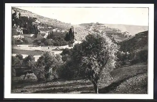 AK Gerusalemme, La Basilica del Getsemani vista dalla Valle del Cedron con Siloe