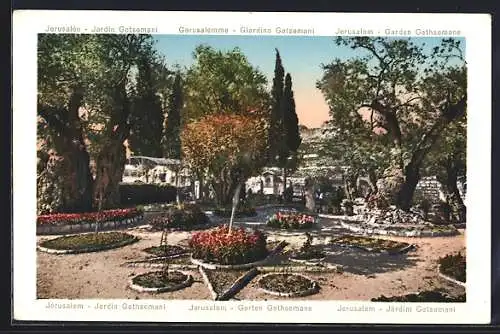 AK Jerusalem, Garten Gethsemane