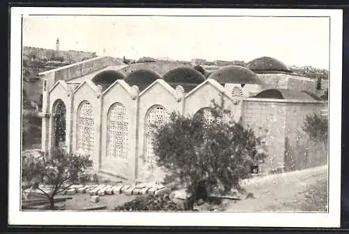 AK Gerusalemme, La Basilica del Getsemani e le mura di Gerusalemme