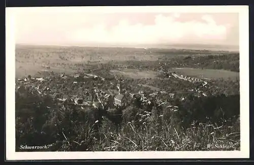 AK Schwarzach, Blick auf Schwarzach und Bodensee