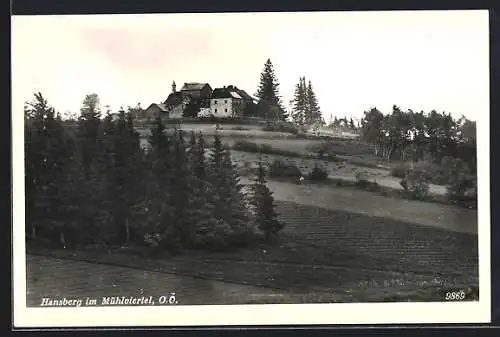 AK St. Johann am Wimberg, Hansberg im Mühlviertel, Ortsansicht vom Feld aus