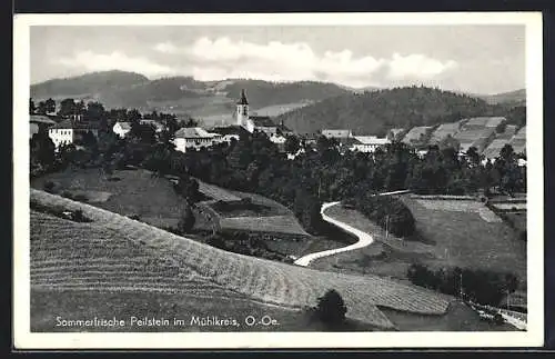 AK Peilstein, Teilansicht