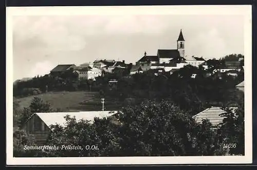 AK Peilstein /O.Oe., Ortsansicht mit der Kirche