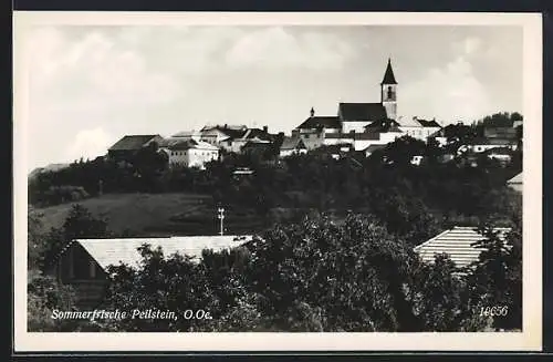 AK Peilstein /O.Oe., Ortsansicht mit der Kirche