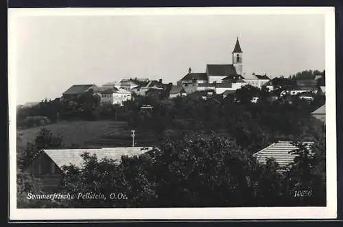 AK Peilstein /O.Oe., Ortsansicht mit prominenter Kirche