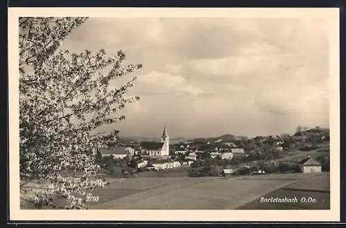 AK Sarleinsbach, Totalansicht