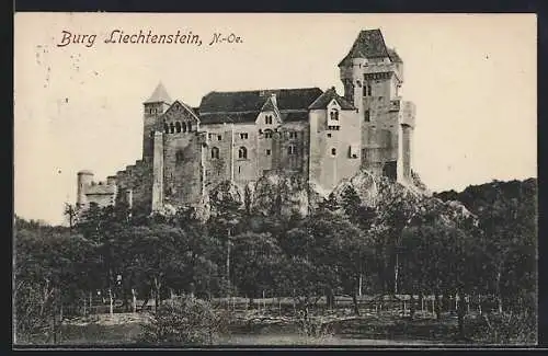 AK Liechtenstein, Blick auf die Burg