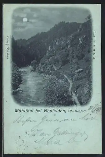 Mondschein-AK Neufelden /Ob.-Oesterr., Partie im Mühlthal