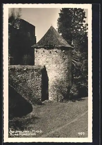 AK Neufelden i. M., Burg Pürgstein