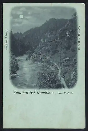 Mondschein-AK Neufelden /Ob.-Oesterr., Partie im Mühlthal