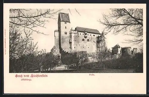 AK Mödling / Liechtenstein, Veste