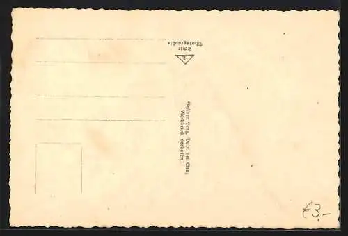 AK Bad-Aussee, Alpenhotel zur Wasnerin mit Dachstein