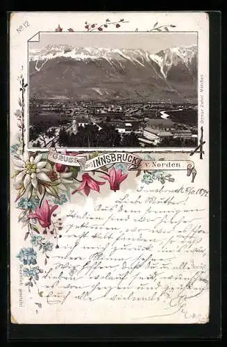 Vorläufer-Lithographie Innsbruck, 1894, die Stadt von Norden, Edelweiss und Alpenveilchen