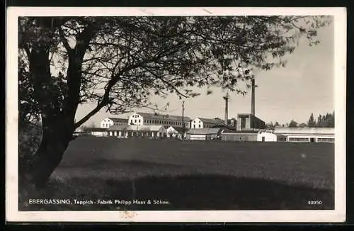 AK Ebergassing, Teppich-Fabrik Philipp Haas & Söhne, von einem Feld gesehen