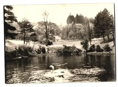 6 Fotografien Hans Müsse, Iserlohn, Ansicht Iserlohn, Strassenansichten, Kirche, Parkanlage u.a.