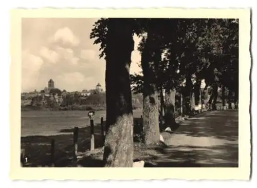 12 Fotografien unbekannter Fotograf, Ansicht Riesenburg / Westpreussen, Marktplatz, Bahnhof, Heldendenkmal, Strassen u.a