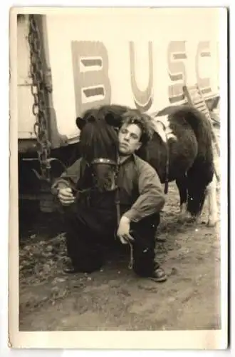 5 Fotografien J. Weichelt, Dresden, Ansicht Dresden, Circus Busch, Parade in der Stadt mit Elefanten u.a.