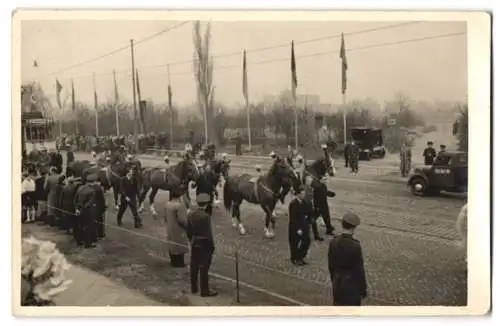 5 Fotografien J. Weichelt, Dresden, Ansicht Dresden, Circus Busch, Parade in der Stadt mit Elefanten u.a.