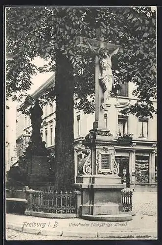 AK Freiburg i. Br., Unterlinden (100jährige Linde), Statuen, Geschäft