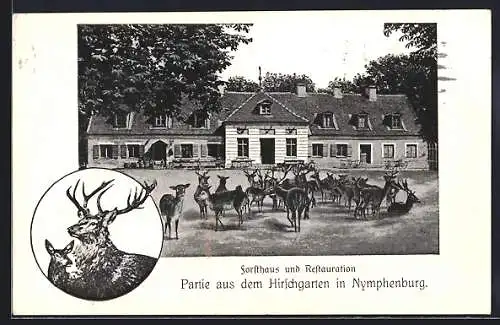 AK München-Nymphenburg, Restaurant Forsthaus, Partie aus dem Hirschgarten in Nymphenburg