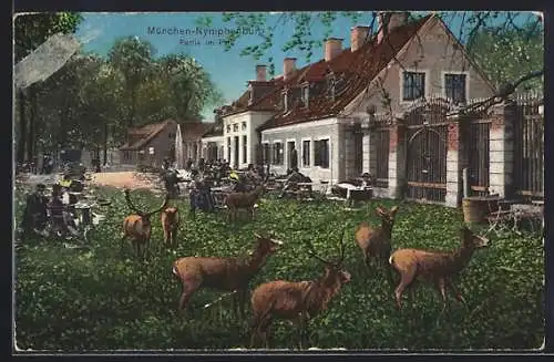 AK München-Nymphenburg, Partie im Park mit Hirschen