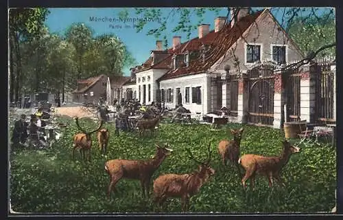AK München-Nymphenburg, Partie im Park mit Hirschen
