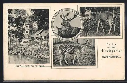 AK Nymphenburg, Partie im Hirschgarten