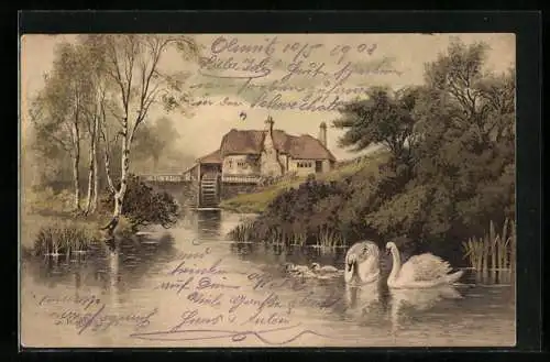 Künstler-AK Meissner & Buch (M&B) Nr. 1189: Am Weiher, Schwanenteich mit Mühle